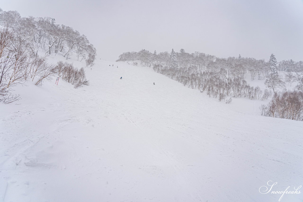 札幌国際スキー場　街は雨でも、山は雪！広々ゲレンデに思う存分シュプールを描こう(^^)/